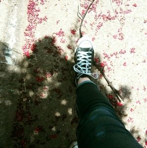 Meet your Posher, Arden